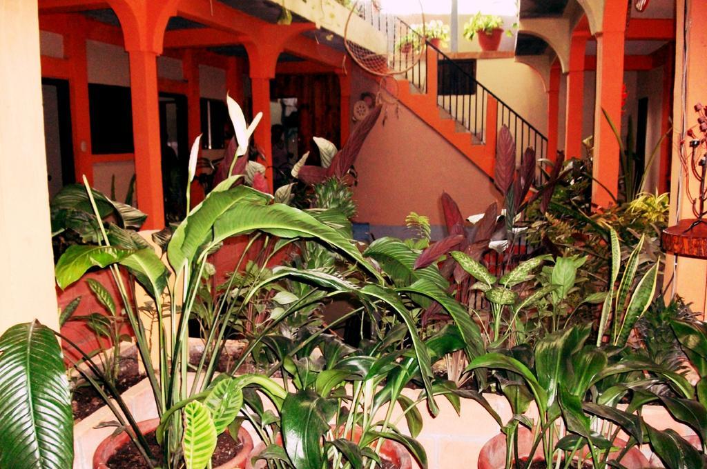 Hotel & Hostal Yaxkin Copán Oda fotoğraf