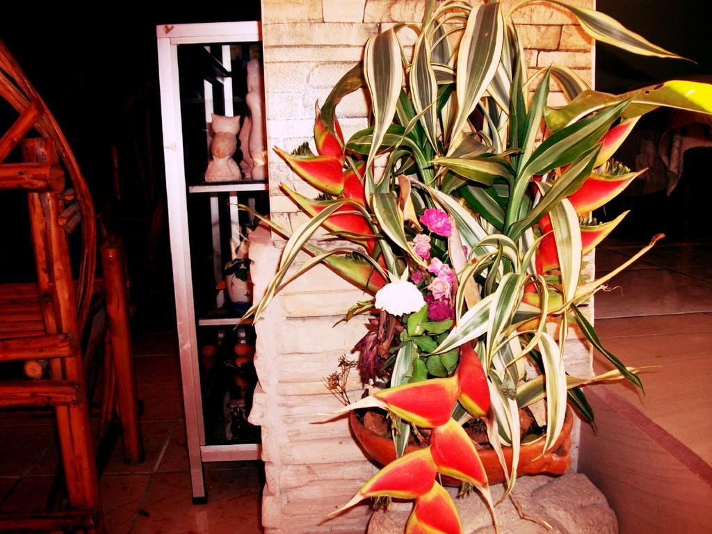 Hotel & Hostal Yaxkin Copán Dış mekan fotoğraf